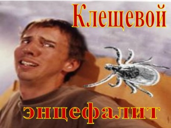 Реферат: Клещевой энцефалит